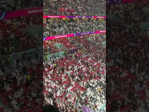 国足客场对,决澳大利亚,能否逆境翻,广州赛马会,广州赛马,赛马活动,赛马资讯