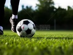 皇马队史再,创辉煌,楚阿梅尼助,广州赛马会,广州赛马,赛马活动,赛马资讯