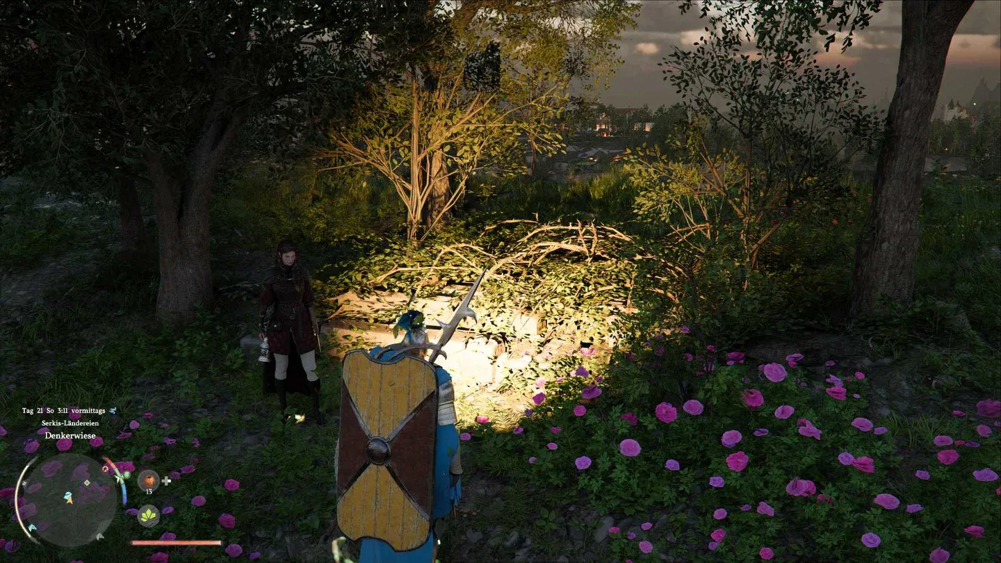 中国网协三,金花,澳网首战失,广州赛马会,广州赛马,赛马活动,赛马资讯