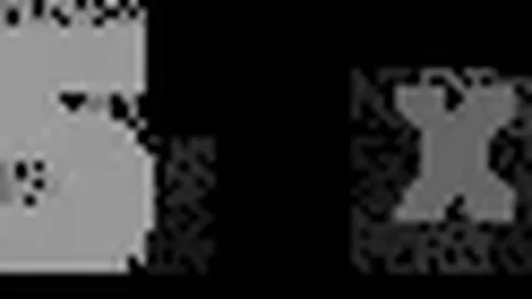 中国体育明星榜：郎平领跑，孙杨、邓亚萍等杰出运动员同台竞技